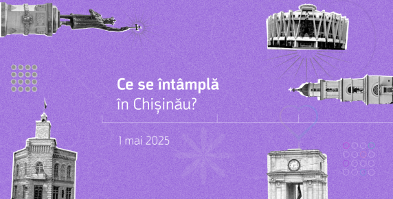 Newsletter: „Suspiciuni rezonabile”, cum se taie copacii și unde votăm la alegerile din România Image