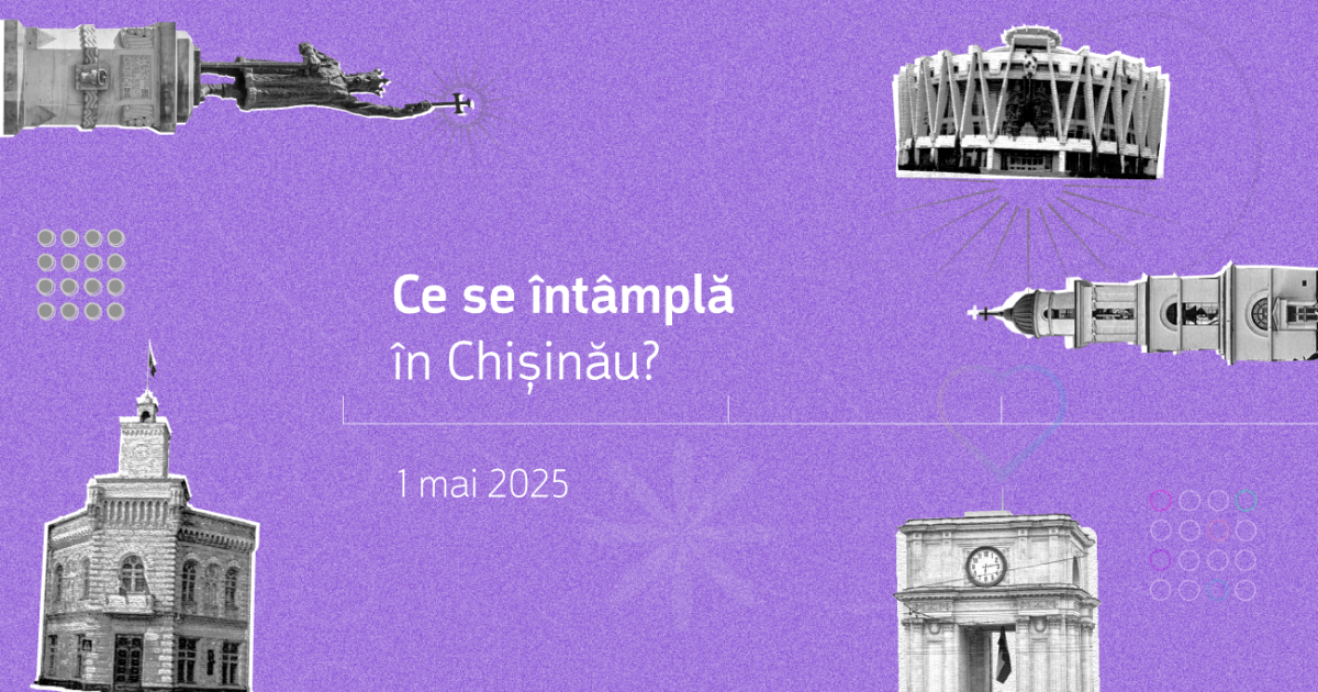 Newsletter: „Suspiciuni rezonabile”, cum se taie copacii și unde votăm la alegerile din România Image