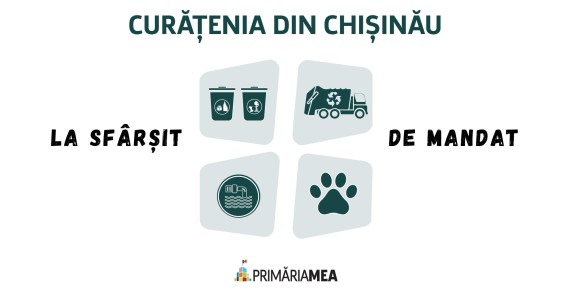 Ce fac autoritățile: avem contract pentru sortarea deșeurilor și întreprindere pentru gestionarea animalelor fără stăpân Image