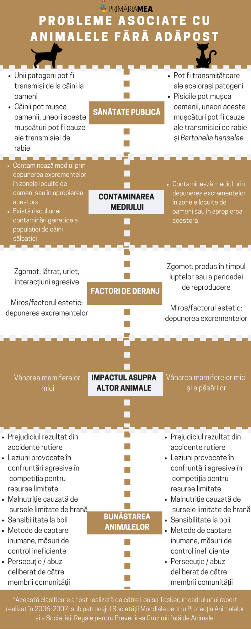 Animalele nimănui -  o problemă a tuturor Image