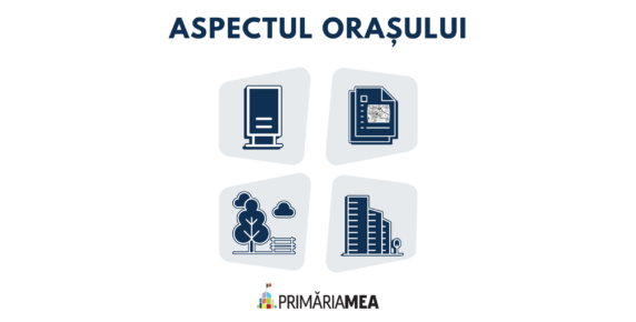 Ce fac autoritățile: PUG din bani publici, regulament pentru publicitate încă neaprobat și alte acțiuni Image